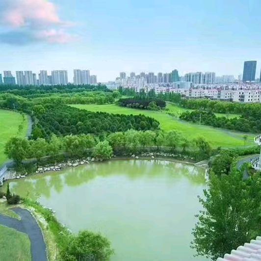 小乔初见