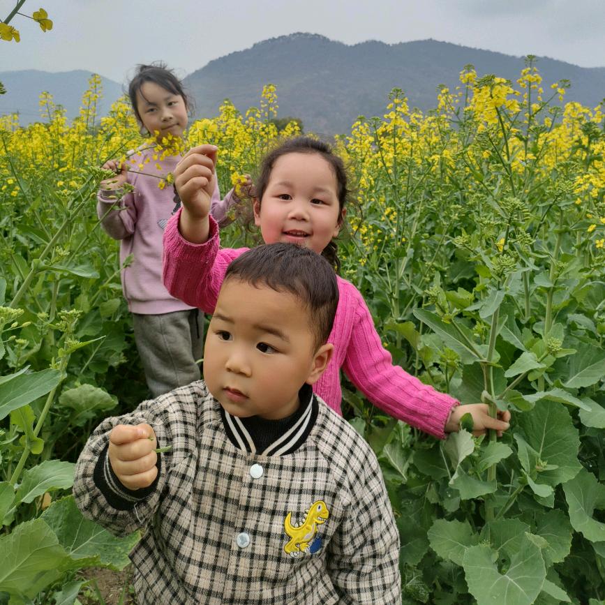 手机用户60488435484