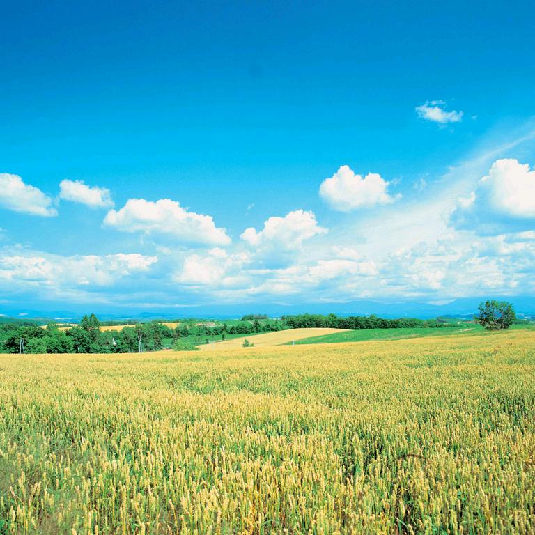 我爱中国（互关互赞）