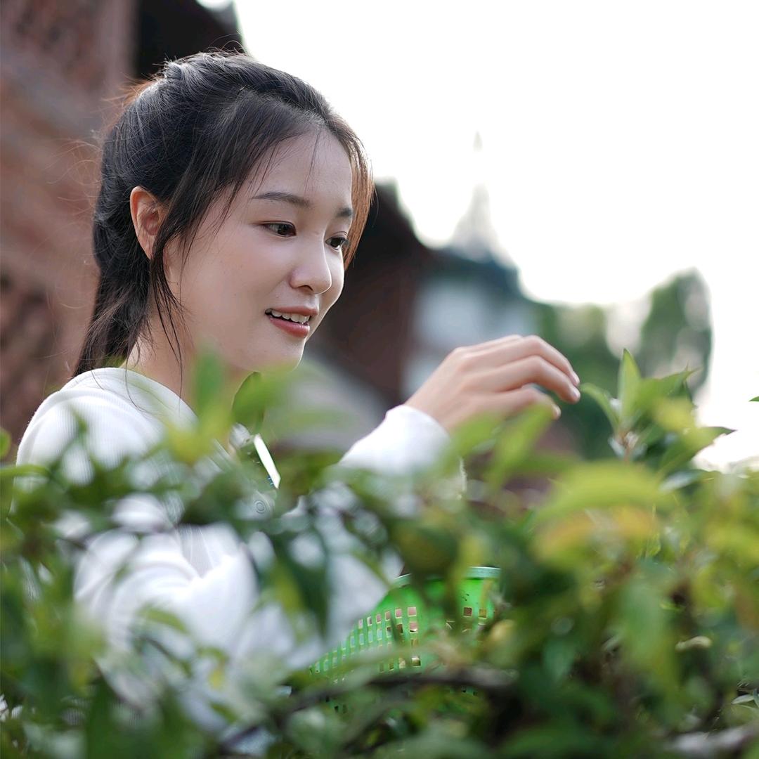 杨丹丹儿（不下雨每天11点直播李子）