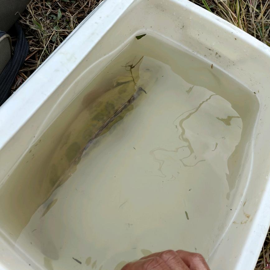 好名字能让朋友更容易记住你。