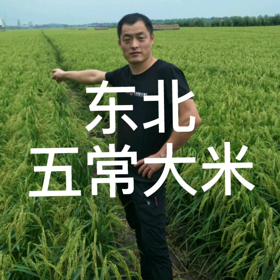 五常大米 老农