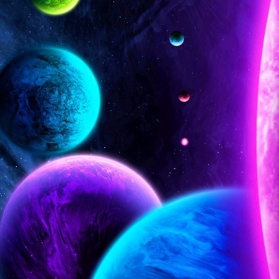 🎶花花世界🎶