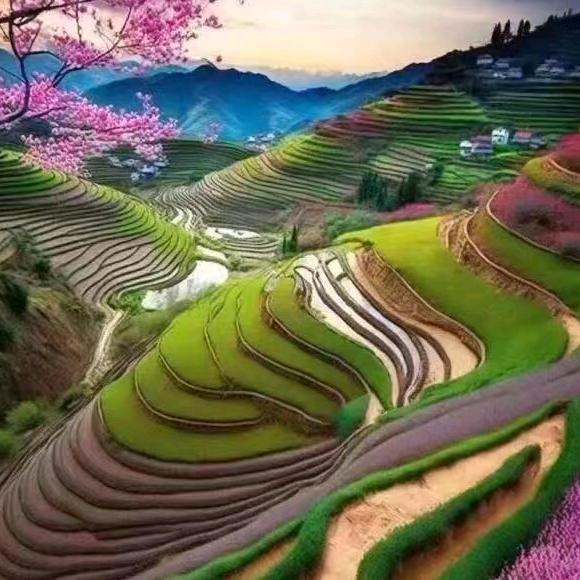 龙山墨客