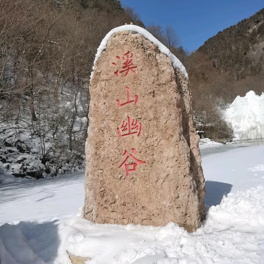 光头强