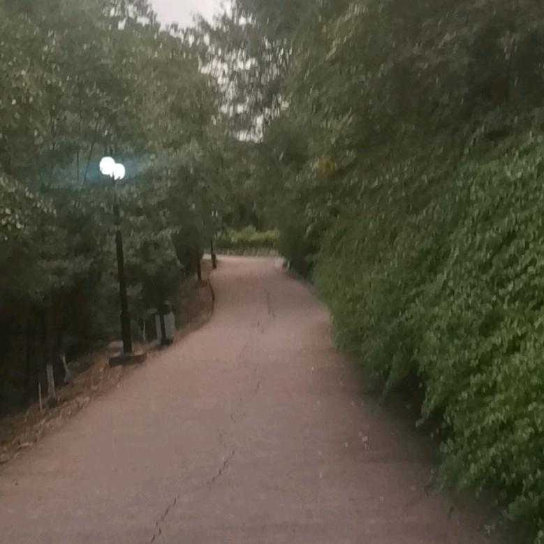 用户名29377933头像