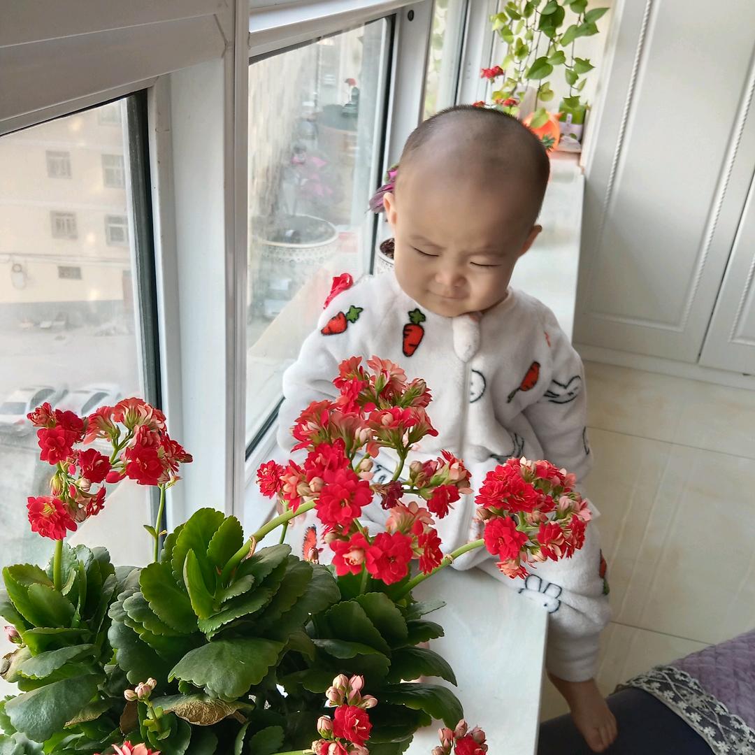 芳