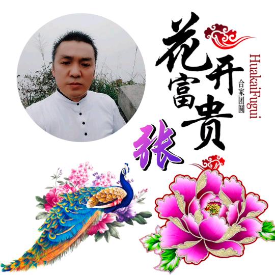 ꧁云畔雾隐花꧂