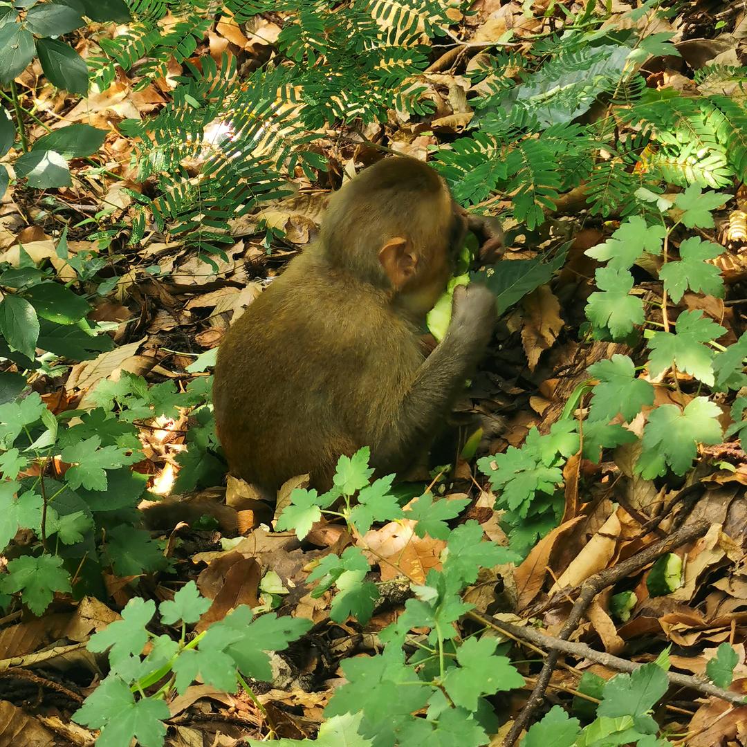 小郑台球俱乐部