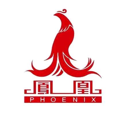 凤凰童车旗舰店