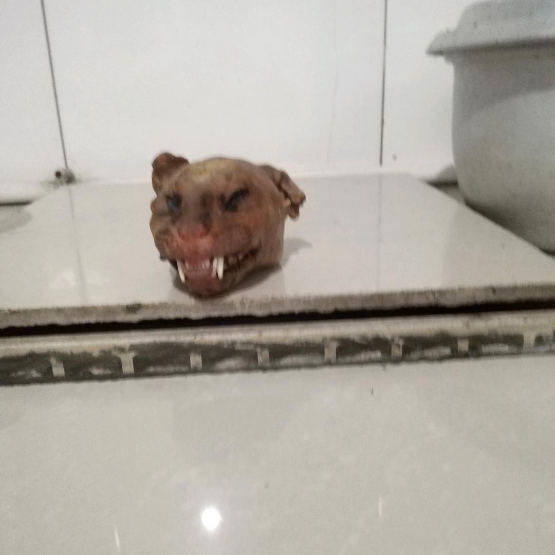 谈笑风声