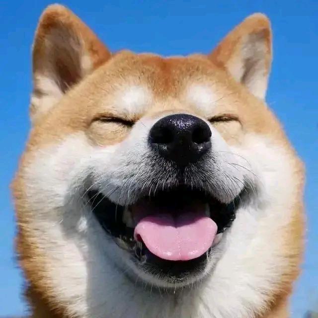 蓦然回首