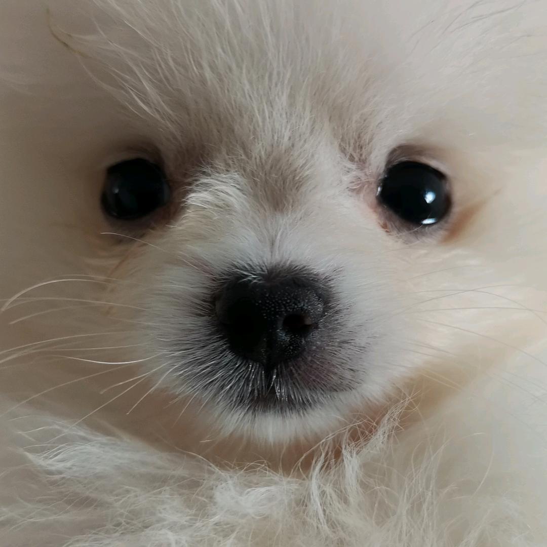 骑着蜗牛找蛐蛐