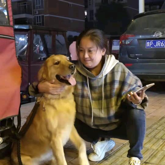 赵辛