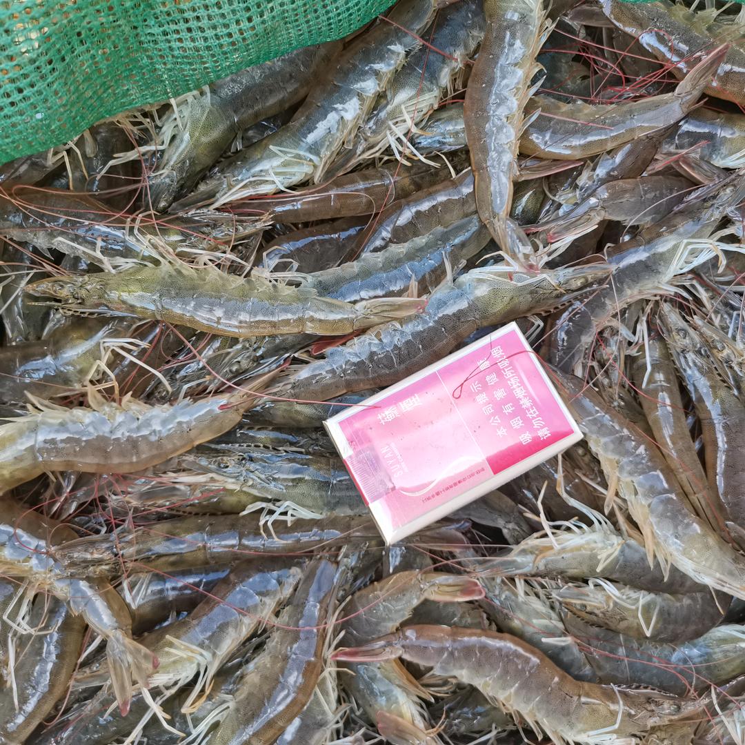 心静如水