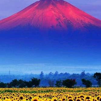 蒙娜丽莎瓷砖(宝镇路店)