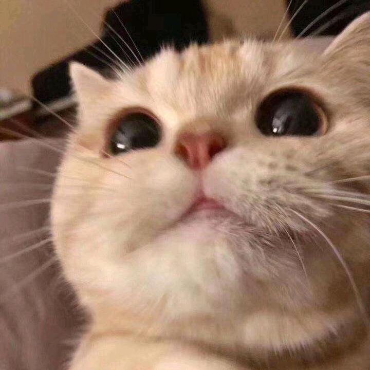 晕晕乎乎