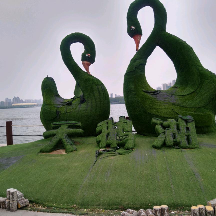 帅气称霸
