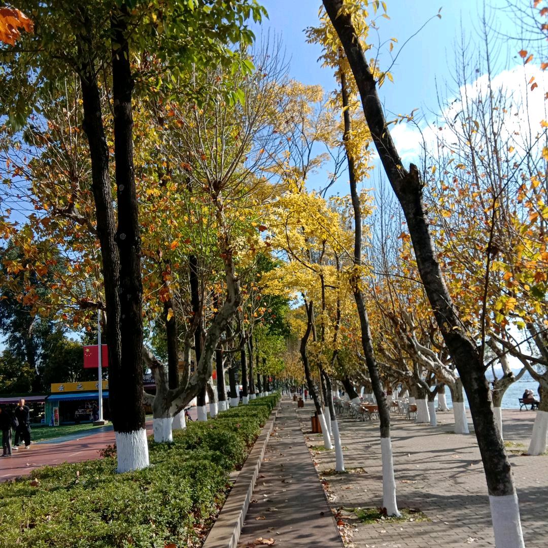我心永恒