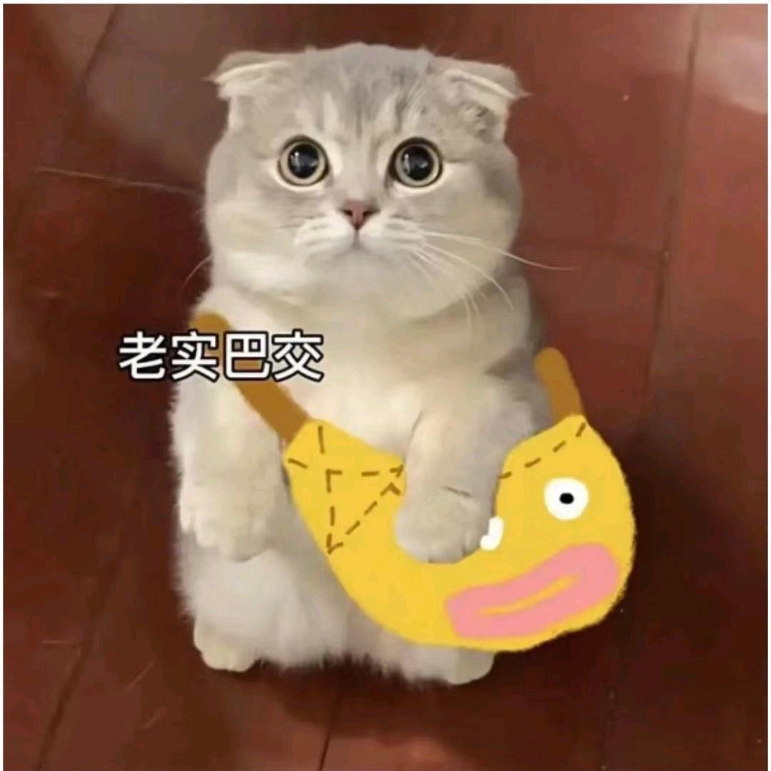 温寻