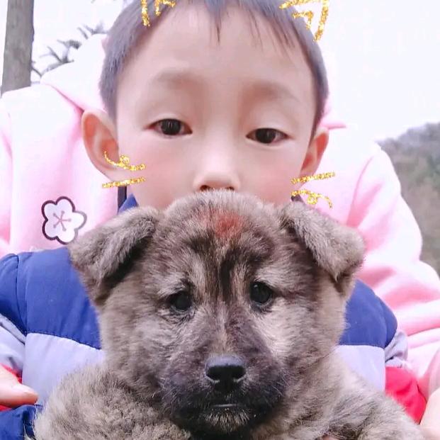 命苦