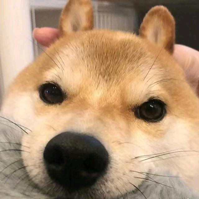 草莓糖🌈🌈🌈