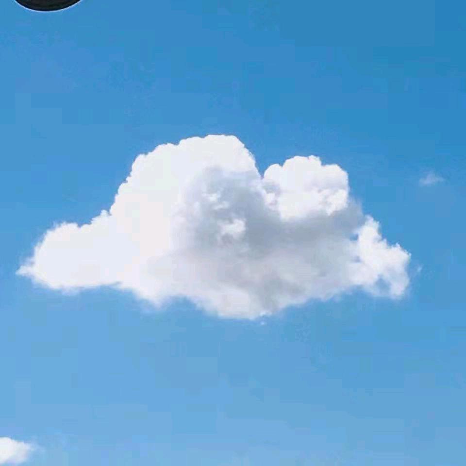 愿你