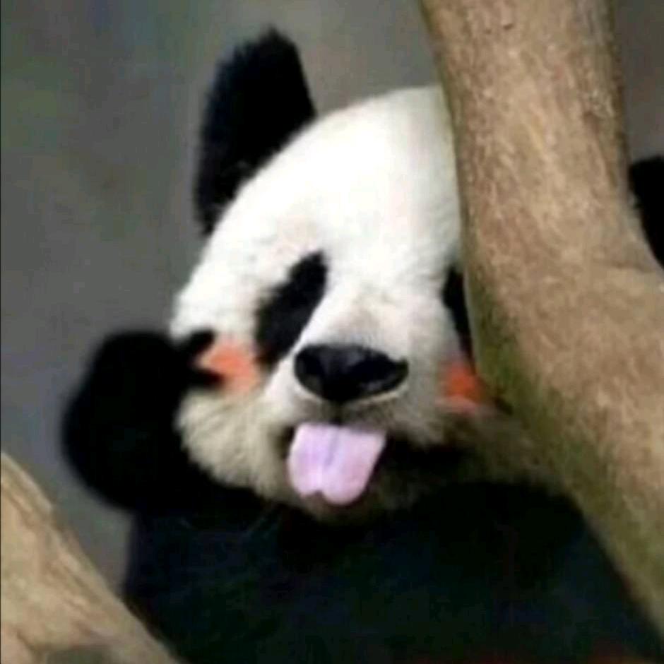 格