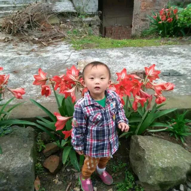 蔡娅男