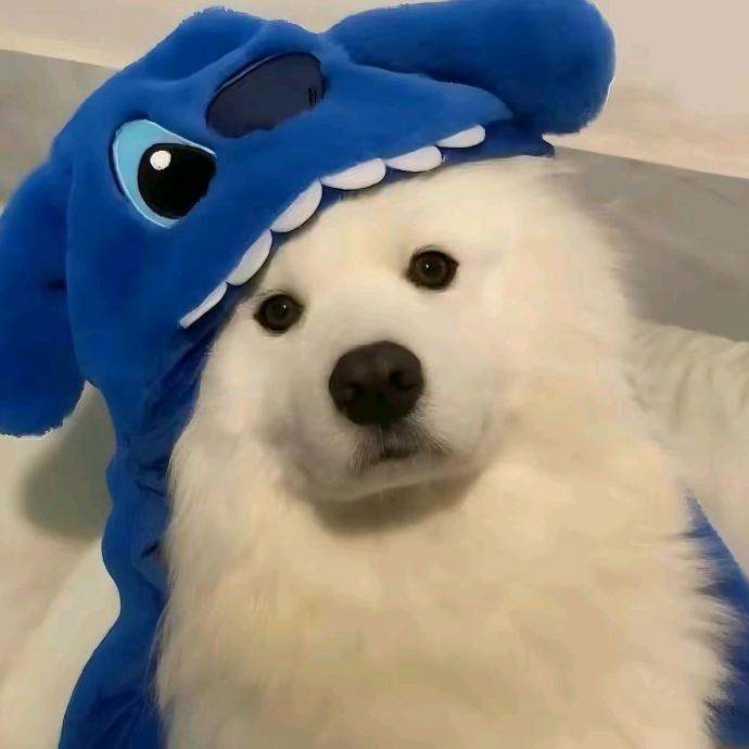 π小星