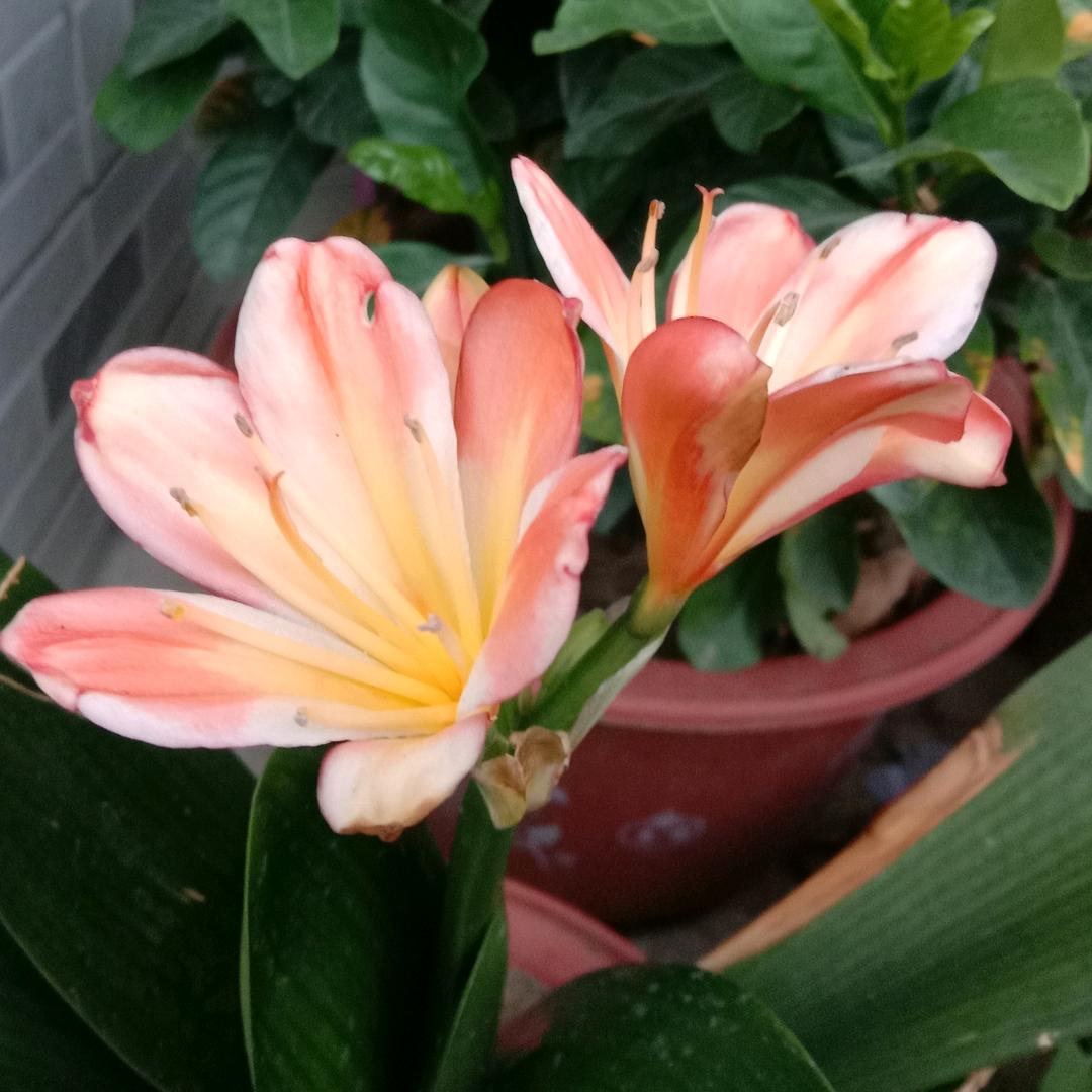 幸福在哪里