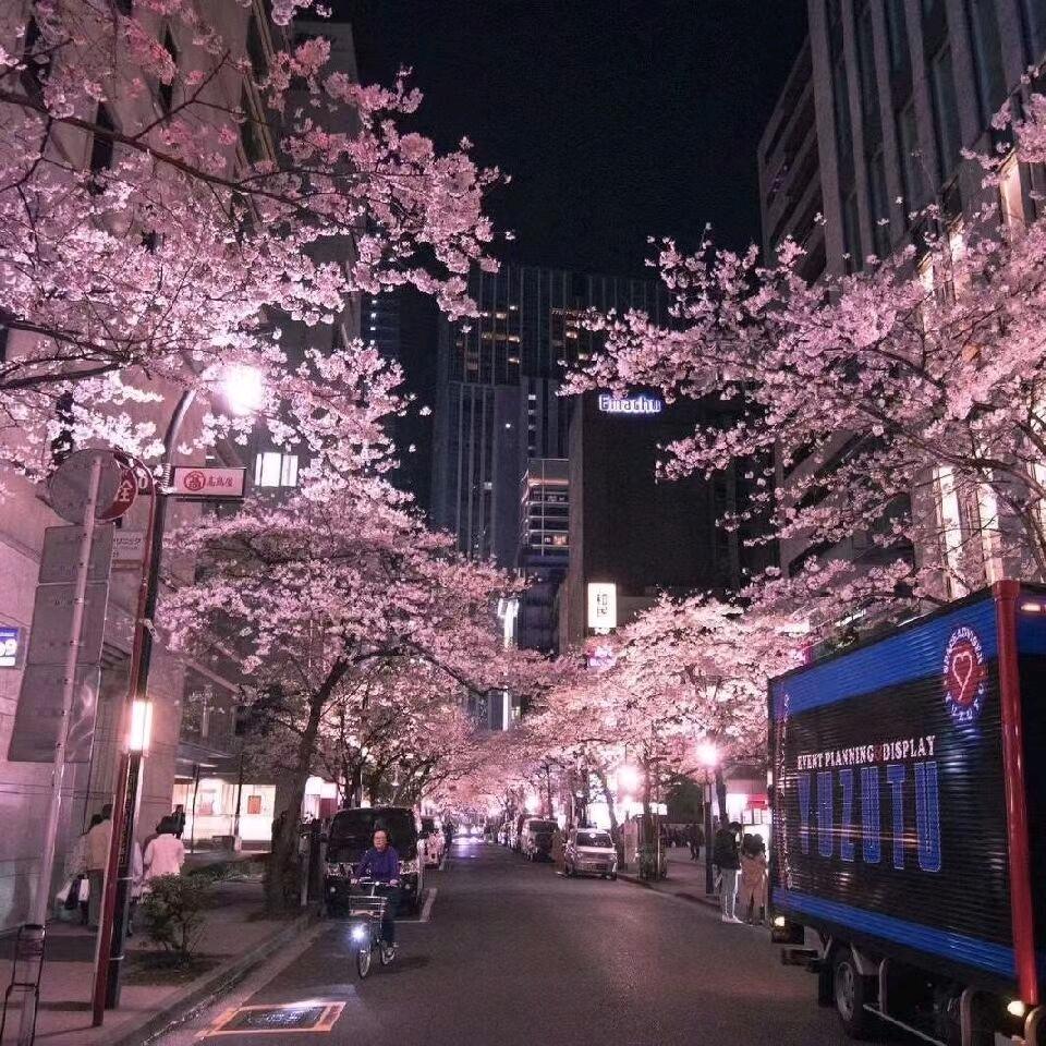 @《粤Q-\*贵*》@