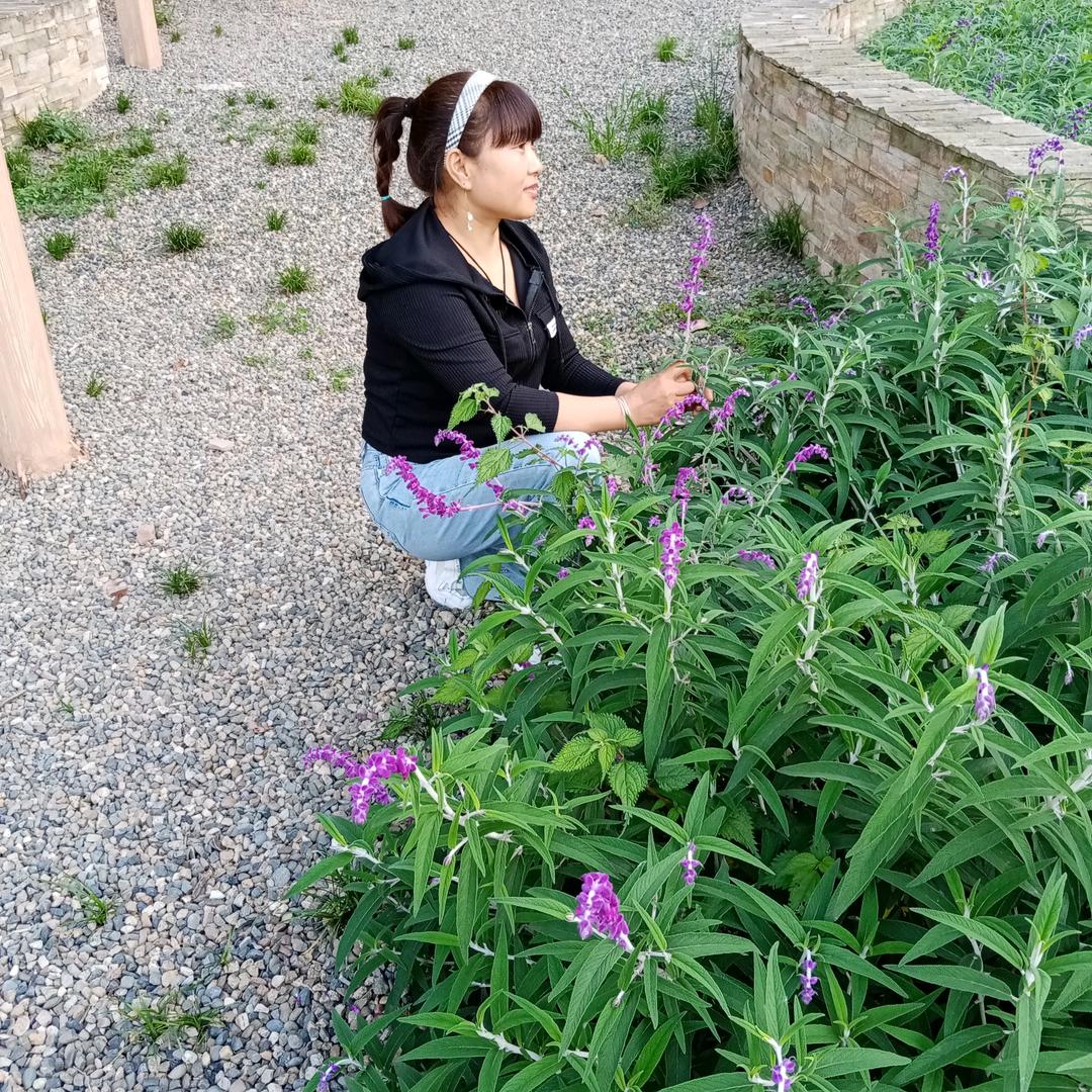 এ᭄余生🎋随心ღᩚ᭄