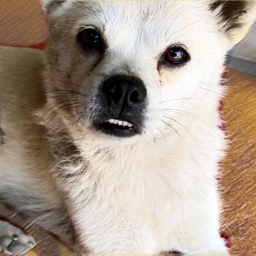 此号已注销22555