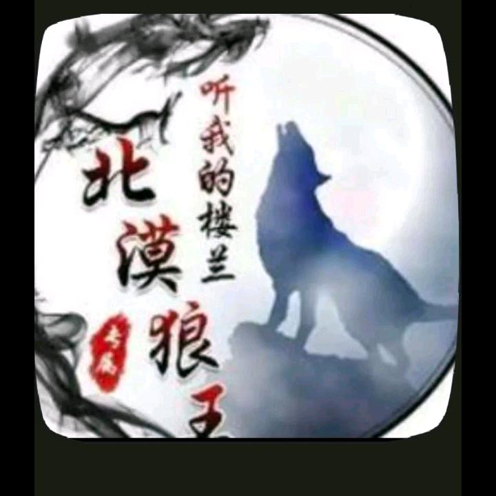 北漠狼王