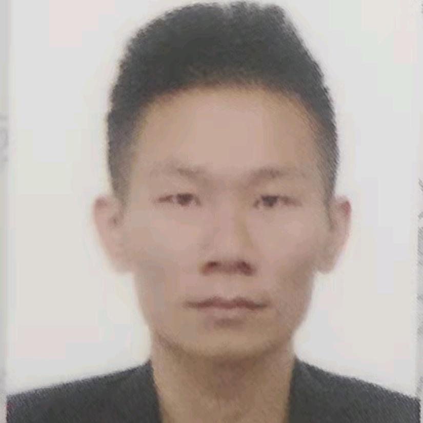 一条独孤的小狼