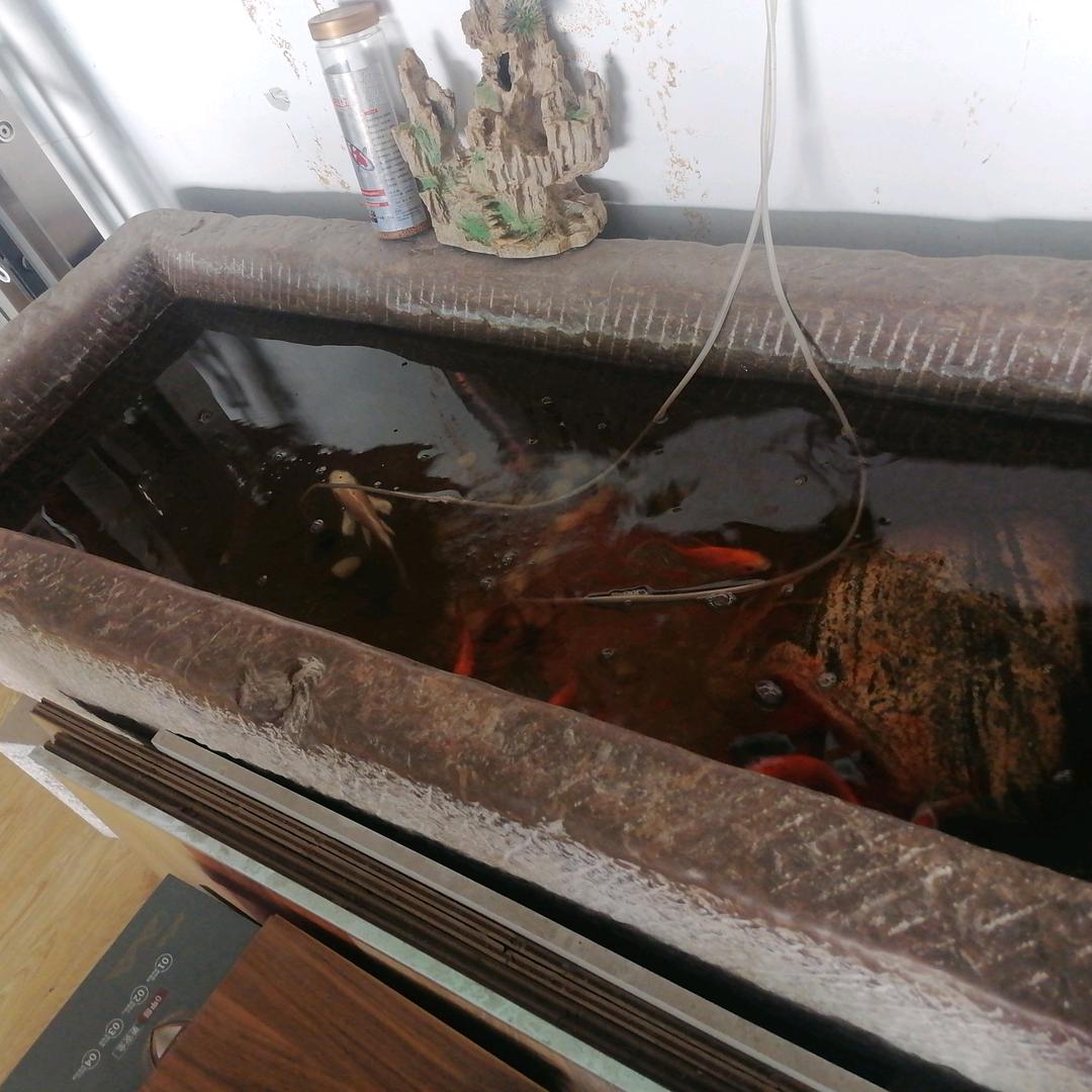 批发地板的老太太