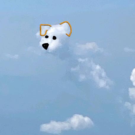 糖豆
