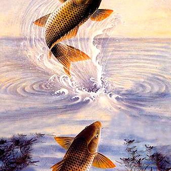 二郎的瓜果虫兽