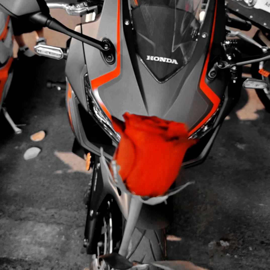 聪武道馆-（屁墩儿）