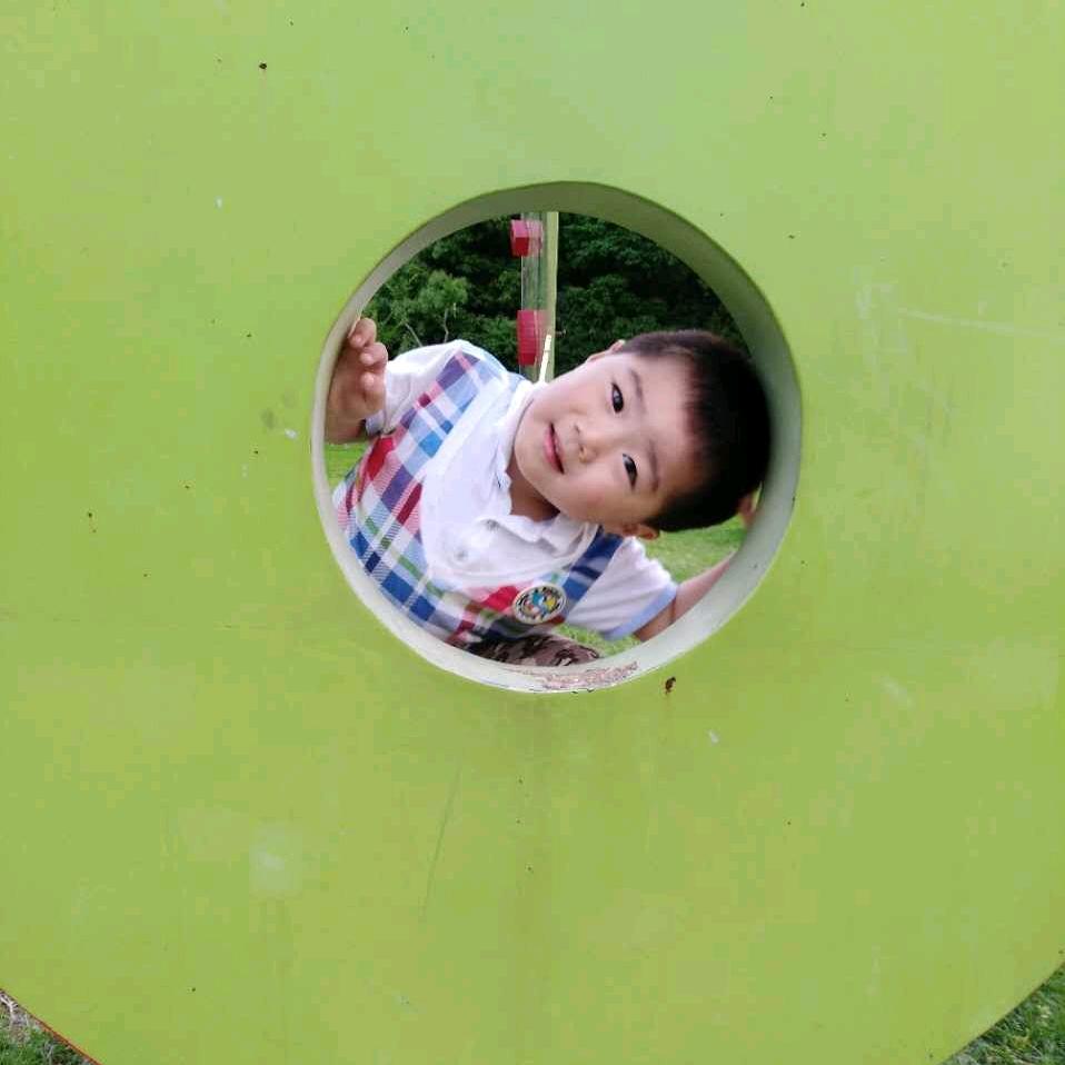 迷雾