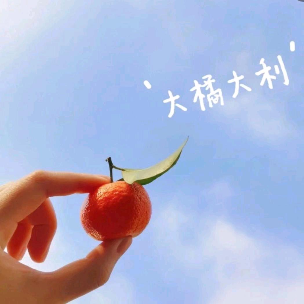 如果可以如果
