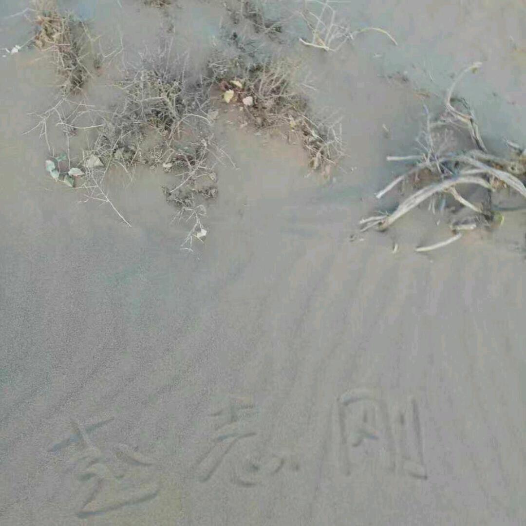 东宝说农村