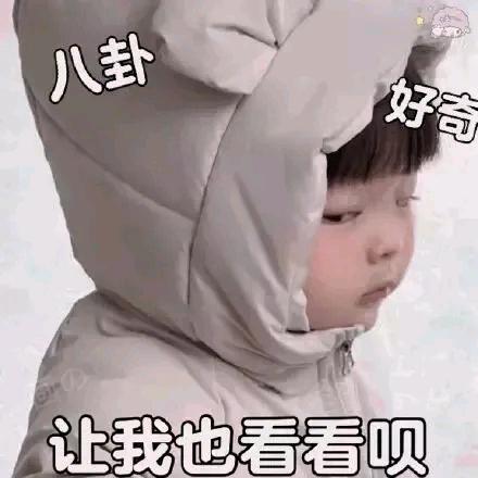 不会遗憾