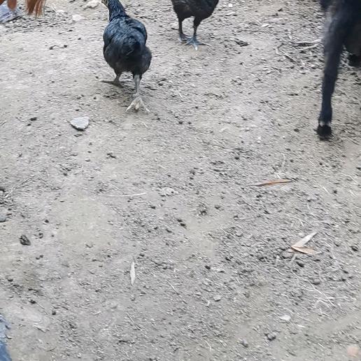 农民好