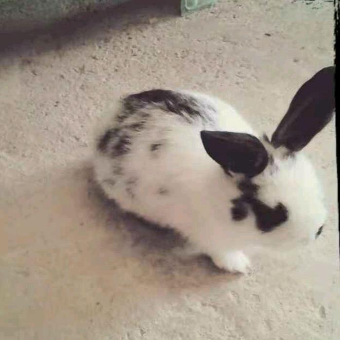 知足常乐😃😃