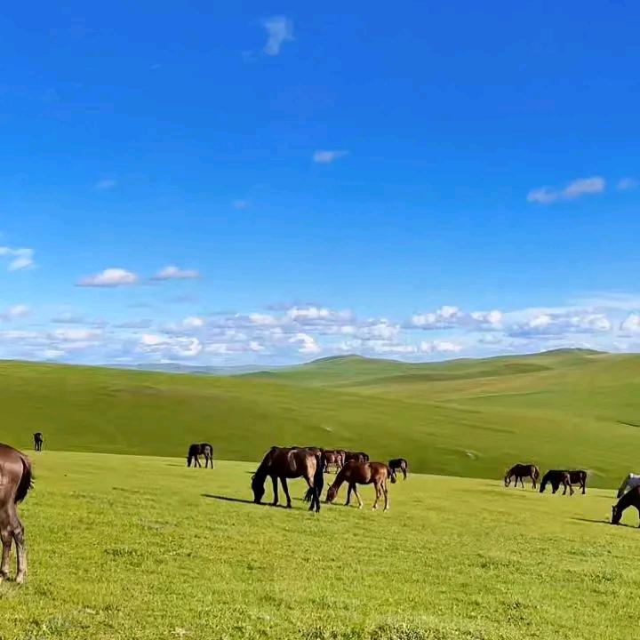 嘻嘻美景