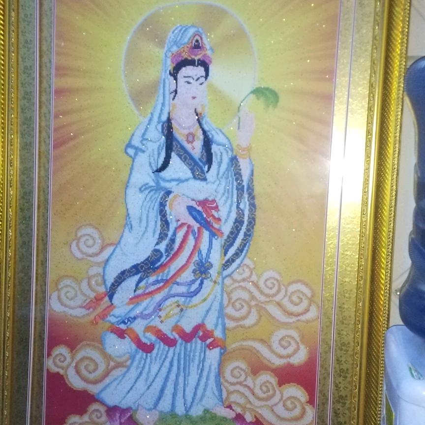阆苑之哥🌹🌹