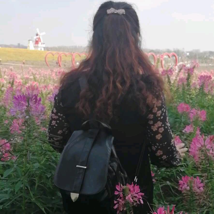 嘟嘟牛我已关注你了