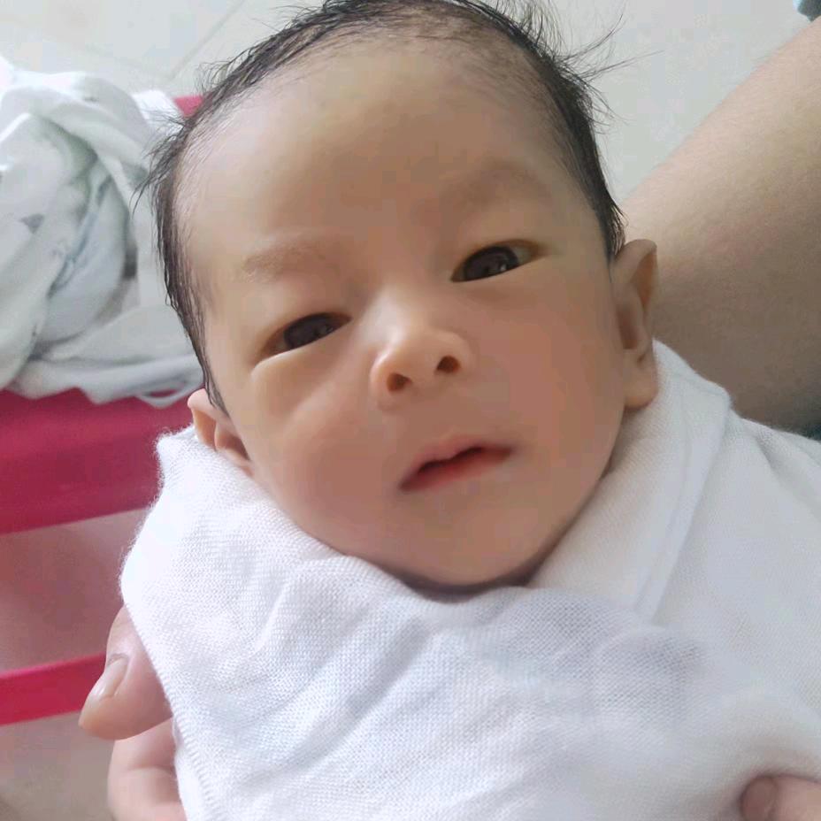 YY小王子